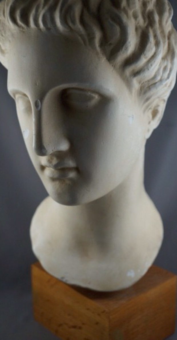 ITALIAN CLASSICAL PLASTER BUST STATUE ON WOODEN PLINTH