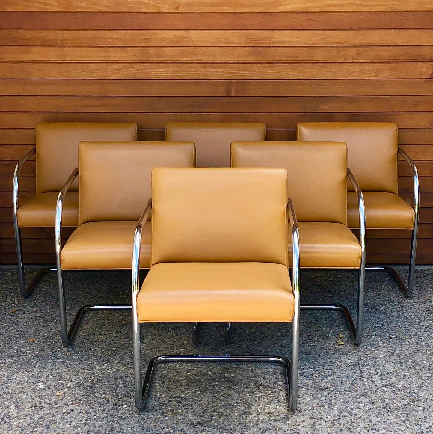 ELEGANT BUTTERSCOTCH LEATHER and CHROME CANTILEVER CHAIRS DINING or LOUNGE CHAIRS