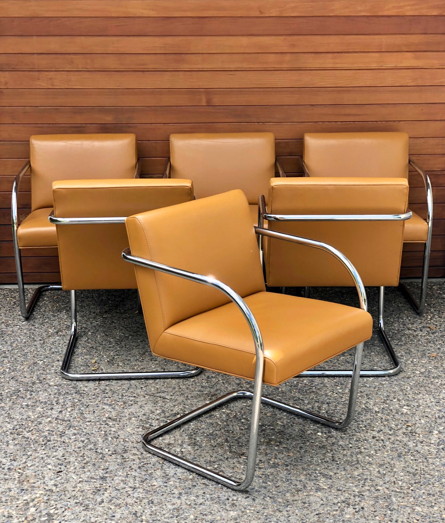 ELEGANT BUTTERSCOTCH LEATHER and CHROME CANTILEVER CHAIRS DINING or LOUNGE CHAIRS