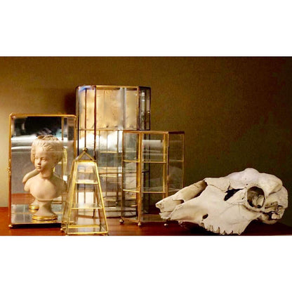 2 DOOR VINTAGE BRASS & GLASS HEXAGONAL CURIO STORAGE CABINET - TABLE TOP