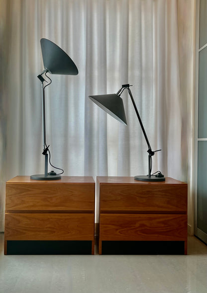 PAIR VERY RARE ARTEMIDE ITALY ENZO MARI and G. FASSINA ADJUSTABLE AGGREGATO 1970s TABLE LAMPS