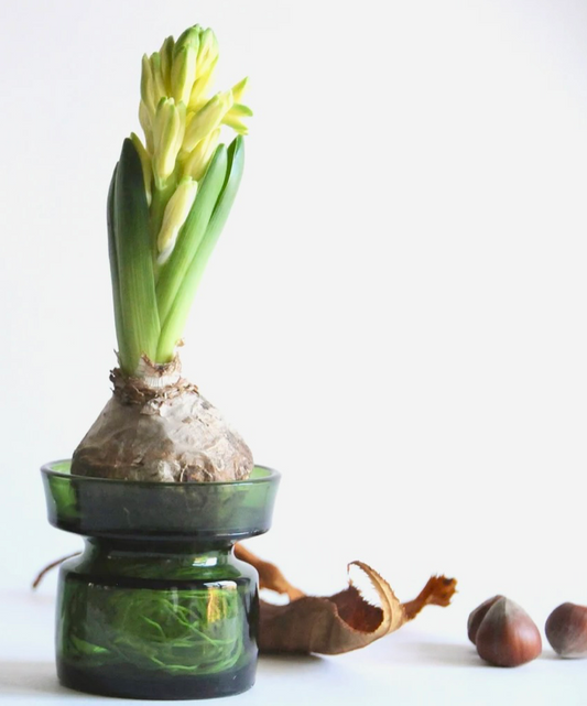 GREEN GLASS IHQ JENS QUISTGAARD for DANSK ICONIC CANDLE HOLDER or PLANT BULB HOLDER