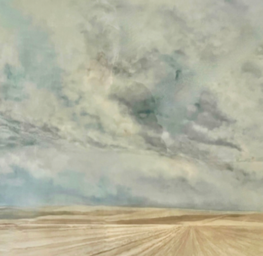 BEAUTIFUL ETHEREAL PRAIRIE LIGHT PRINT/ WELL FRAMED AND LARGE