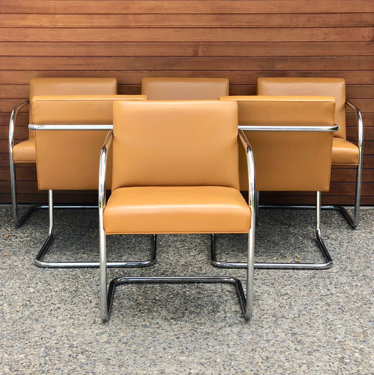 ELEGANT BUTTERSCOTCH LEATHER and CHROME CANTILEVER CHAIRS DINING or LOUNGE CHAIRS
